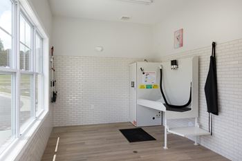Indoor pet spa